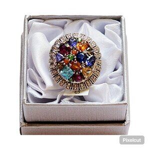 Multi Gemstone Ring in Platinum Over Sterling Silver - 4.27 ctw. - SIZE 6   NWT